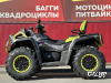 Квадроцикл AODES Pathcross ATV650L MUD PRO EPS LCD, двухместный