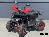 Квадроцикл PROMAX WILD 2.0 190 LUX Красный