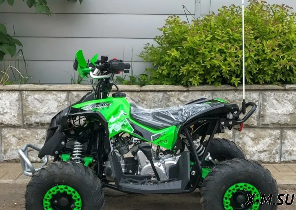 Квадроцикл YACOTA RENEGADE MINI