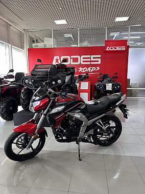 Мотоцикл Racer RC300CK-N Fighter SPORT